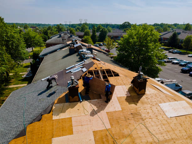 Best Commercial Roofing Services  in New Lisbon, WI