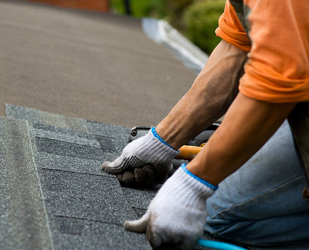 Best Roof Maintenance Services  in New Lisbon, WI